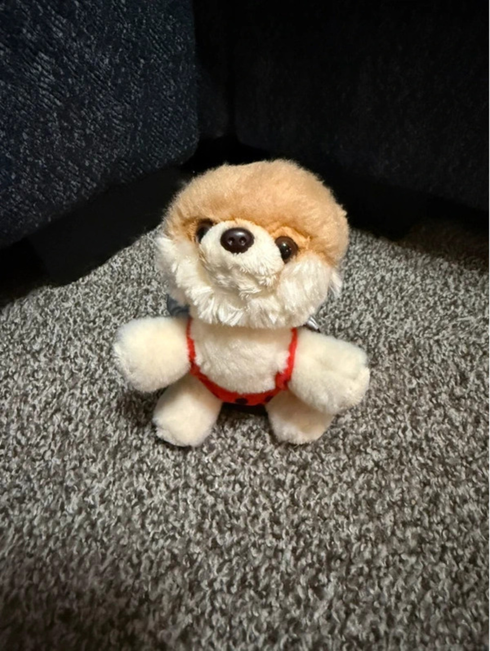 GUND Itty Bitty Boo #64 Lady Bug Plush Dog Pomeranian Ladybug Costume